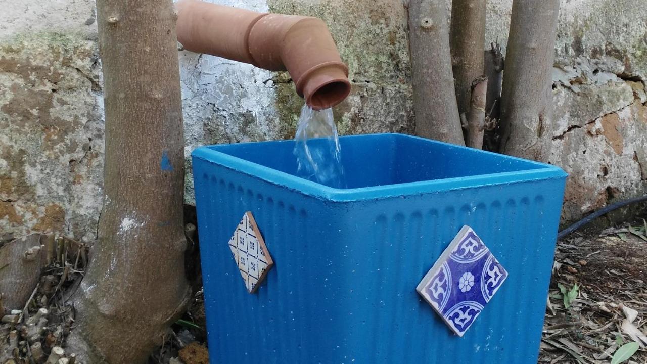 Zagara Di Sicilia Villa Marsala Eksteriør billede